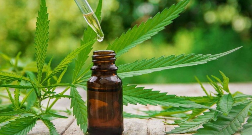 Aníbal Duarte: “Los laboratorios públicos son fundamentales para transformar el cannabis en una medicina alternativa y accesible para la población” 