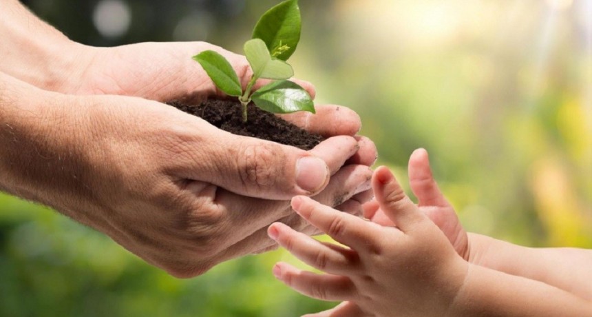 Ituzaingó: Por el Día de la Conciencia Ambiental, se podrá enviar un video y participar de premios 
