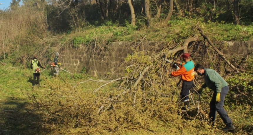 Luján: Trabajos de desmalezamiento y limpieza en barrio Universidad 