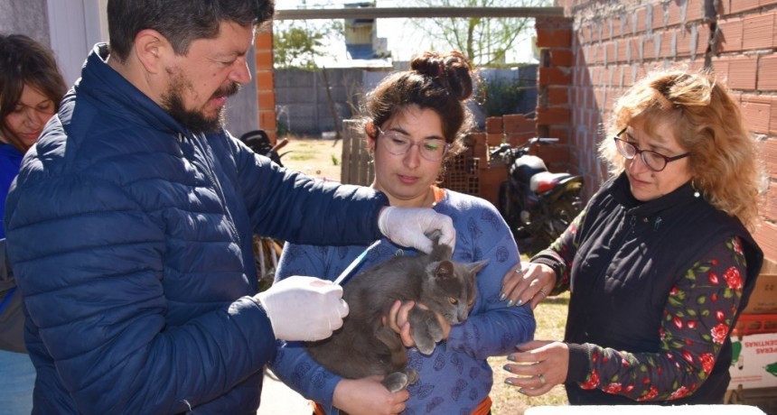 Tres Lomas: Vacunación antirrábica para perros y gatos