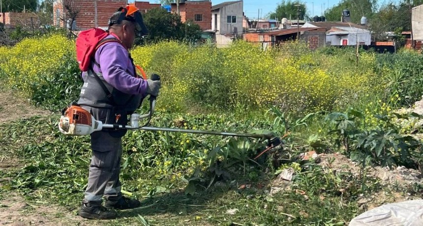 Quilmes: El Municipio realiz&oacute; trabajos de limpieza integral en el barrio La Matera 