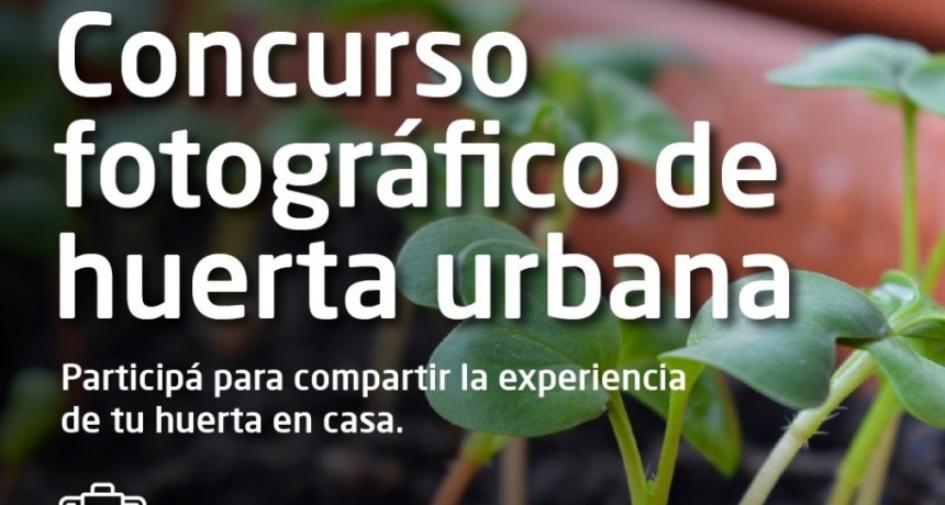 Morón: El municipio lanzó un concurso de fotografía sobre huertas urbanas