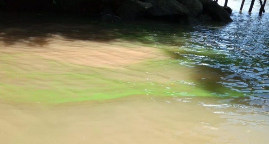 Tigre: El municipio advierte que las aguas del río no son aptas para consumo ni uso recreativo