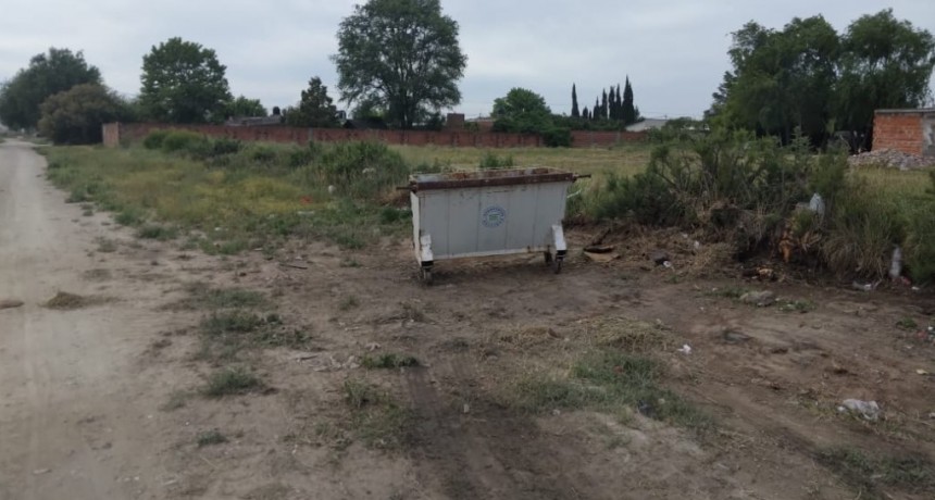 Tres Arroyos: Accionar de la Sec. De Gestión Ambiental ante pedido de vecinos 