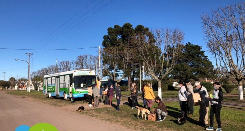 Carlos Casares: Castración y vacunación antirrábica gratuita en Cadret 