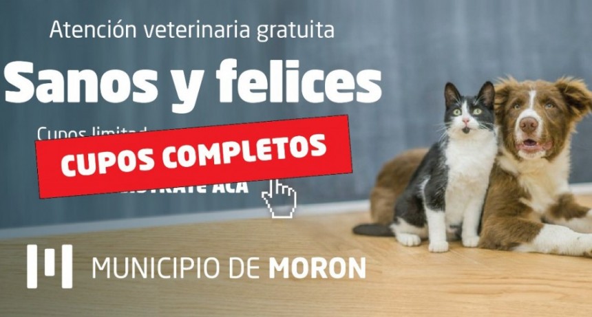 Morón: Se completaron los cupos para la primera etapa del Plan de Atención Veterinaria municipal