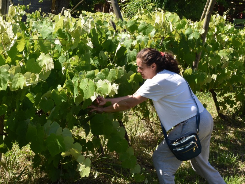 Berisso: Se realizó el taller de “Las mujeres en el mundo de la Producción”
