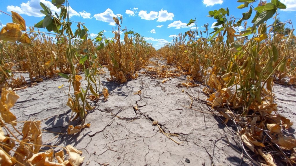 Gral. Villegas: Comenzó la inscripción de Emergencia Agropecuaria por Sequía 2023