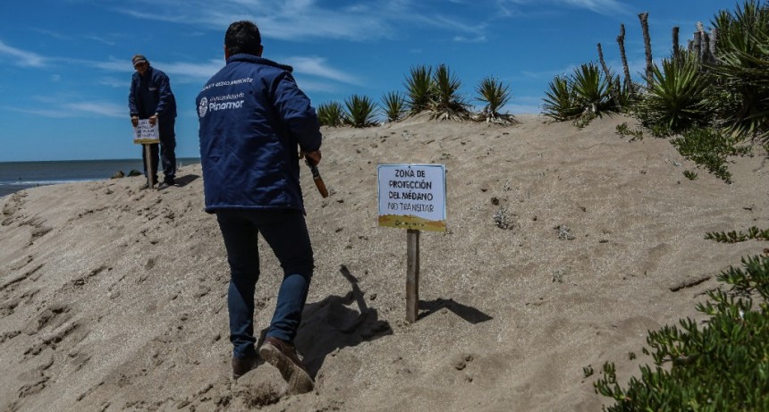 Pinamar: Tercera etapa de remediación del Frente Marítimo 