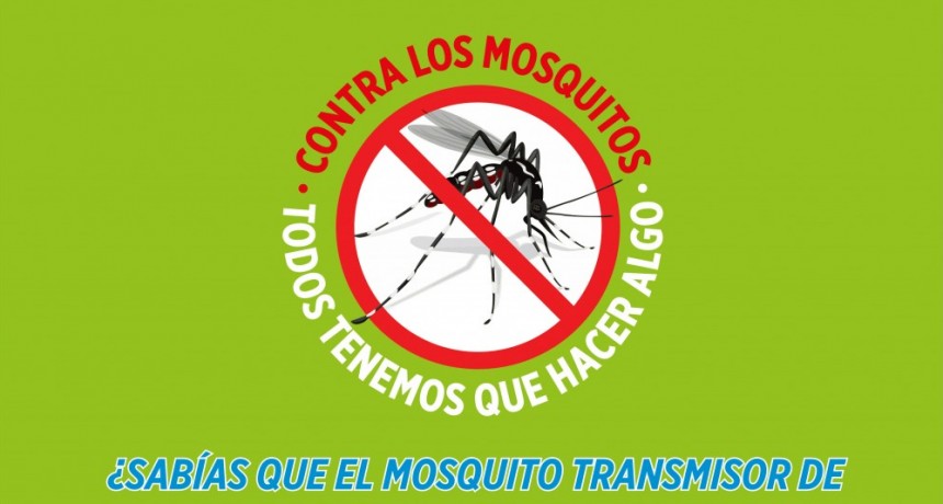 Puan: La importancia de prevenir el contagio del Dengue                        
