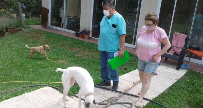 Campana: Se realizó un control veterinario en Las Lomadas tras la aparición de un murciélago con rabia