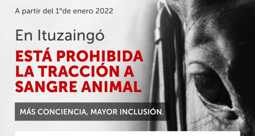 Ituzaingó: A partir del lunes 3/1 se prohíbe la tracción a sangre animal 
