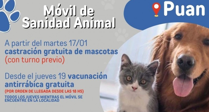 Puan: El Móvil de Sanidad Animal estará en el distrito 