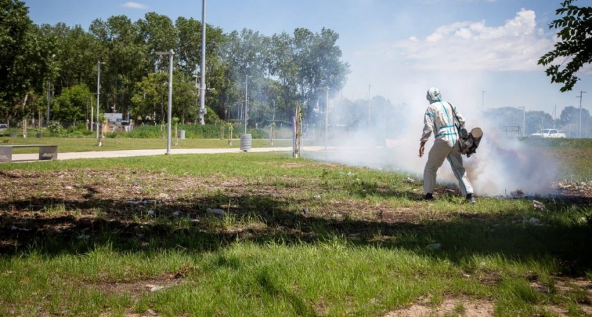 Quilmes: El Municipio continúa con los operativos de prevención del dengue 