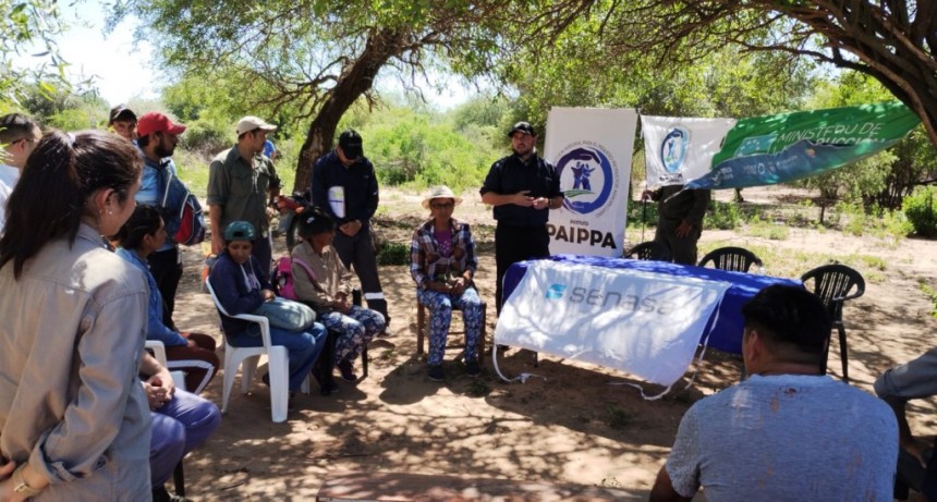 Formosa: Senasa realizó acciones sanitarias por brote de rabia paresiante en Paraje Cacique Sumayén