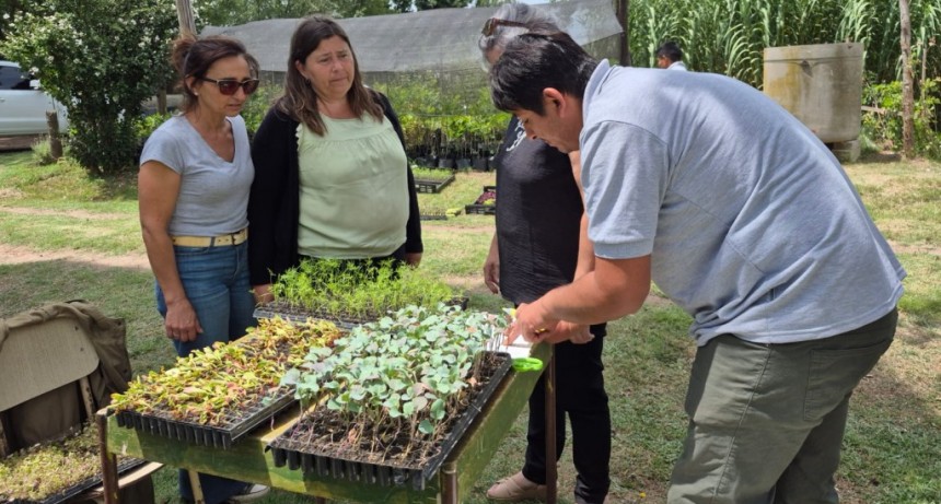 Gral. Villegas: La Municipalidad recibió plantines para huertas educativas y comunitarias