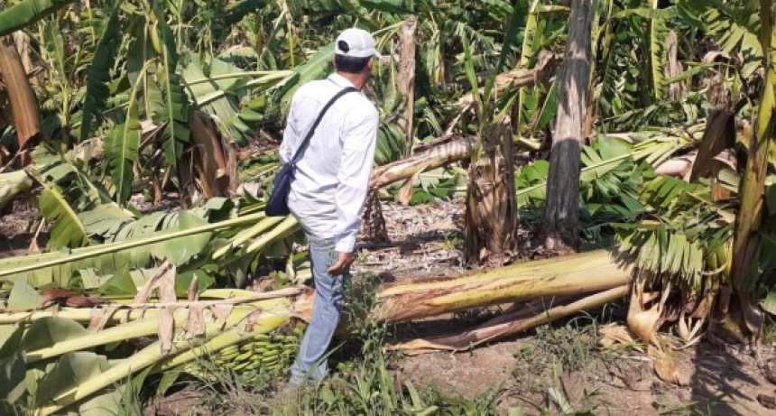 El gobernador Insfrán decretó Emergencia Agrícola en Formosa
