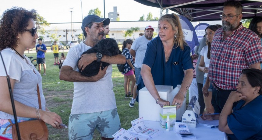Campana: Se realizará una nueva Jornada de Adopción Responsable de Mascotas en la Plaza España