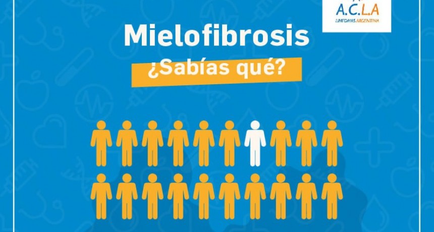 Mielofibrosis: una enfermedad rara y silenciosa que desestabiliza a la médula ósea en poco tiempo
