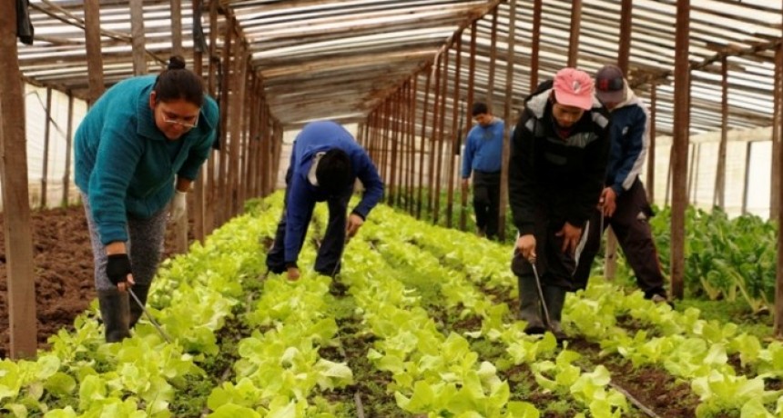 El Estado bonaerense fomenta y apoya la Producción primaria en el AMBA