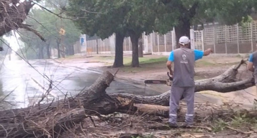 Paraná (ER): La Municipalidad asistió a familias afectadas por la tormenta