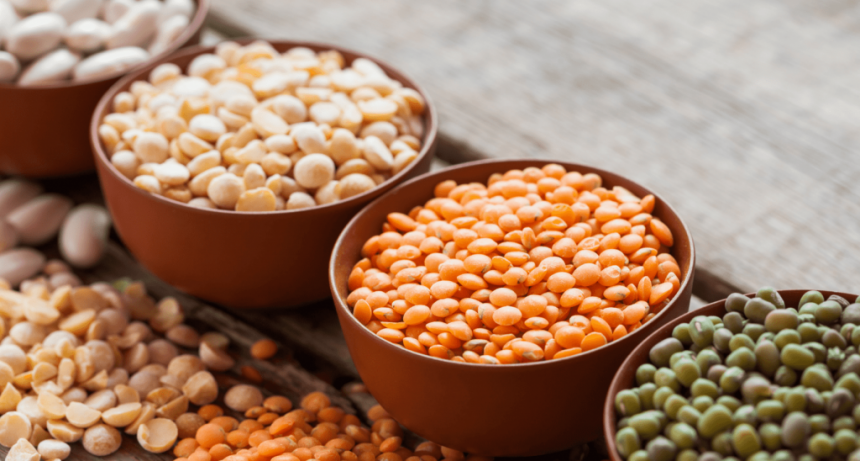 Legumbres: La nueva estrella de la alimentación saludable por su alto contenido proteico