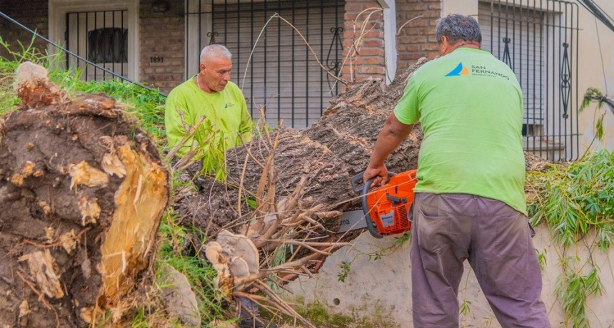 San Fernando: La Municipalidad reacondiciona la ciudad tras el temporal de vientos de 100 km/h