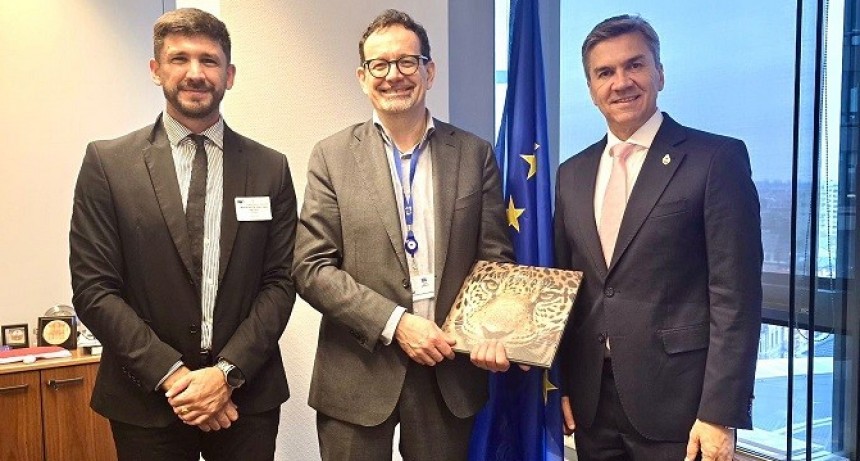 Chaco: Zdero se reunió con autoridades de la Comisión Europea para impulsar el acuerdo UE-Mercosur