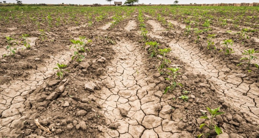 Aníbal Duarte: “Algunos sectores se aprovechan de la sequía para pedir rebaja de impuestos y ayuda económica. Intentan ir sobre los pequeños productores que quiebran, quedándose con sus tierras” 