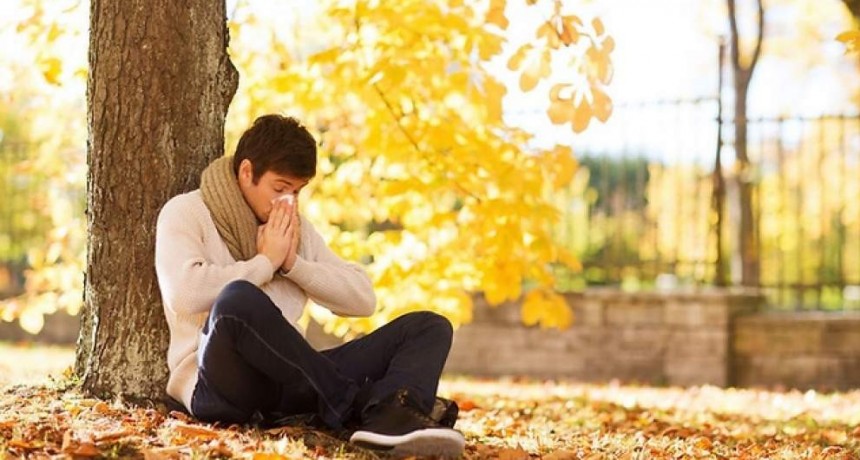 Llegó el otoño: Prevención y cuidados ante las alergias de la época