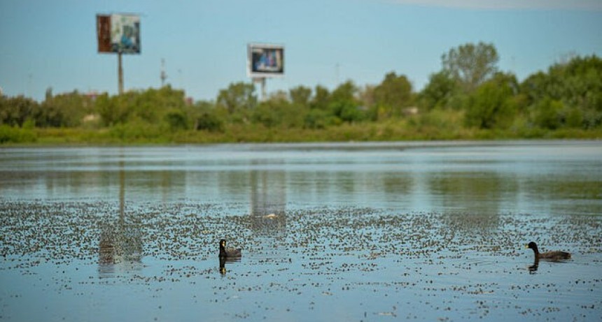 ACUMAR monitorea dos áreas en proceso de restauración ambiental