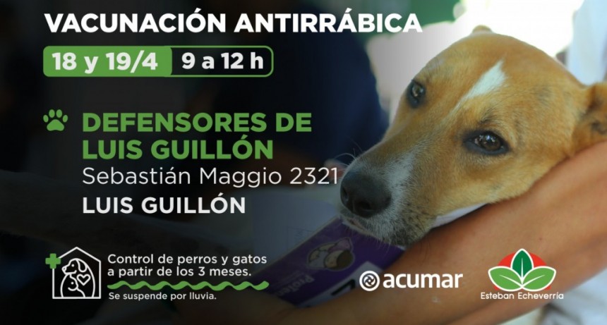 E. Echeverría: El Municipio realizará jornadas de vacunación antirrábica 