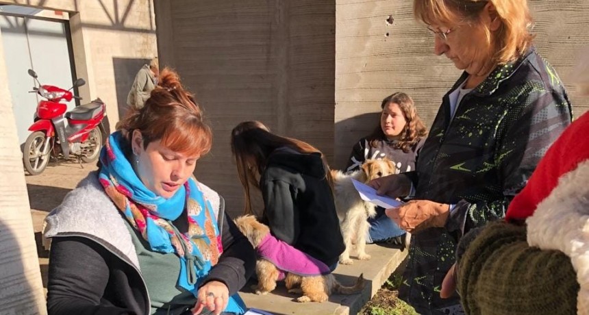 Lincoln: Se realiza una doble jornada de castración en barrio Fonavi