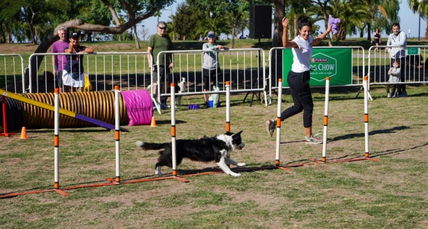 Vicente López: Este domingo se celebra el Día del Animal con un festival en el Paseo de la Costa