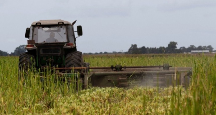 La Provincia lanzó nuevas medidas para el sector agropecuario