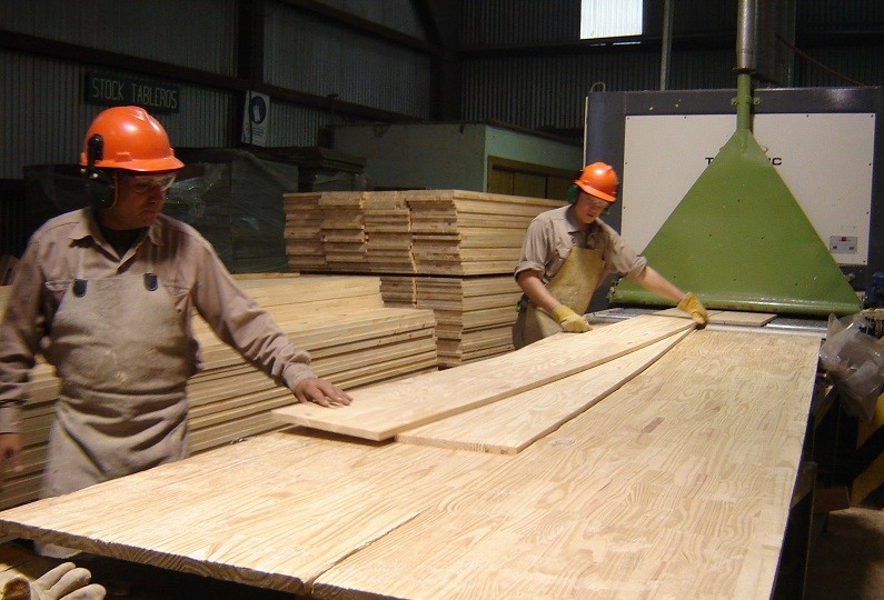 Las exportaciones de madera aumentaron en volumen un 41% en los primeros 2 meses del 2025