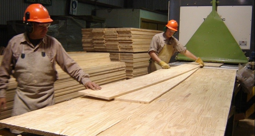 Las exportaciones de madera aumentaron en volumen un 41% en los primeros 2 meses del 2025