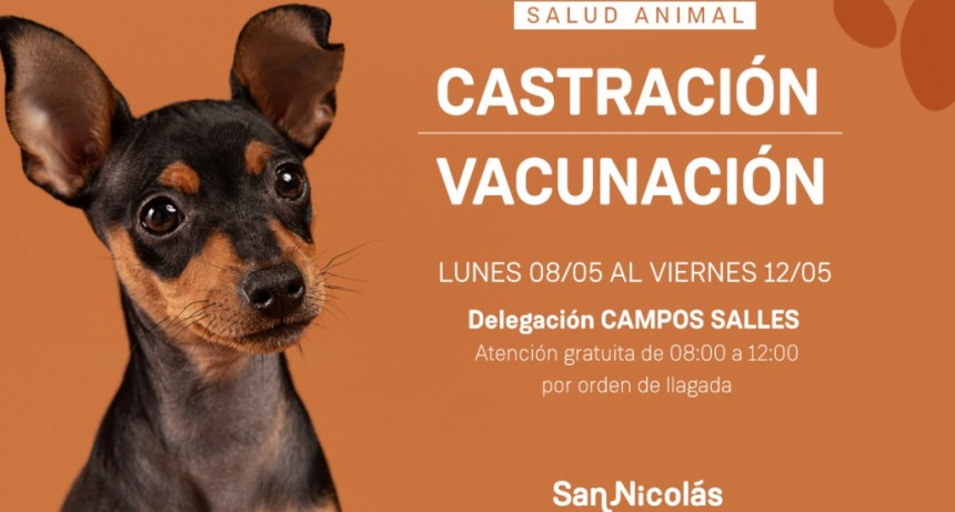 San Nicolás: Castraciones y vacunación en la Delegación de Campos Salles 