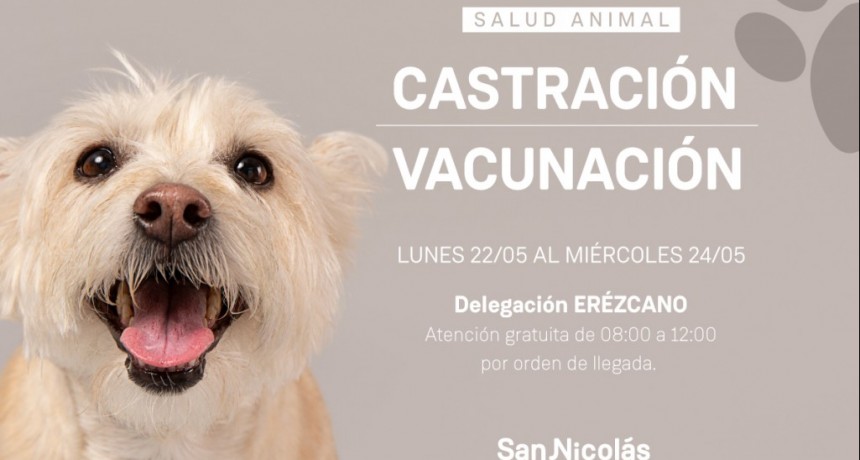 San Nicolás: Castración y vacunación de la Delegación de Erézcano 