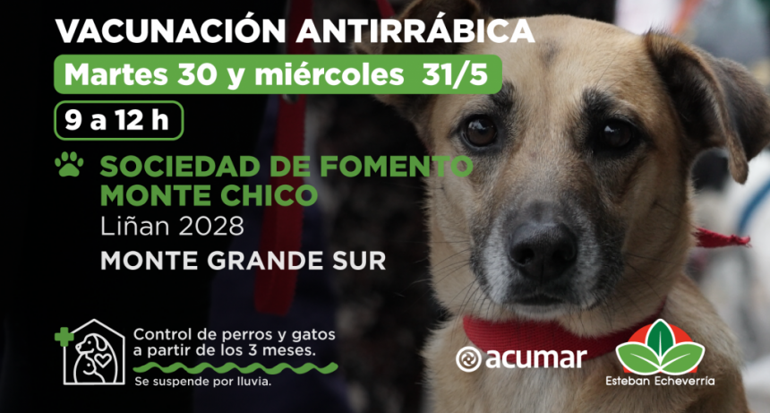 E. Echeverría: El Municipio realizará jornadas de vacunación antirrábica en Monte Grande Sur 