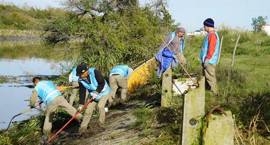 Tigre: El Municipio y Provincia realizaron un operativo de limpieza en el arroyo El Claro