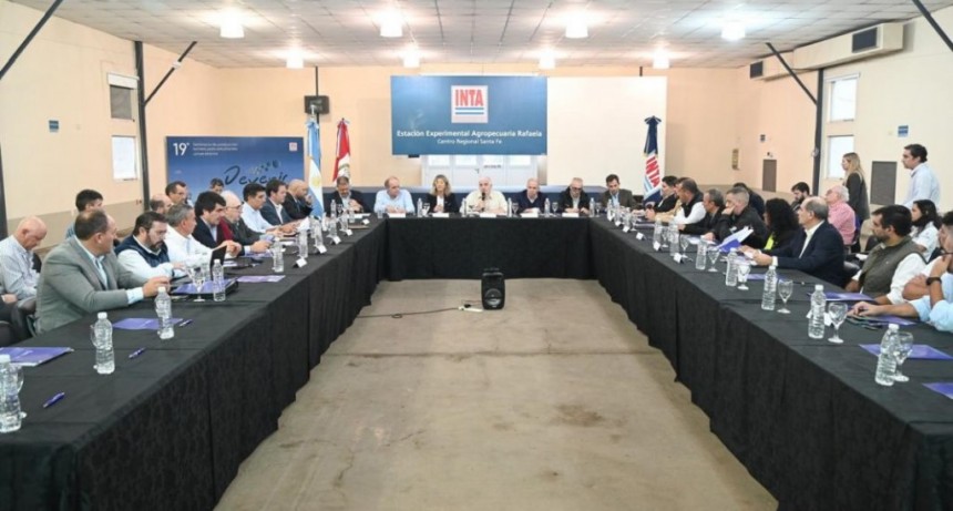 El Gobierno Nacional reunió por segunda vez al Comité de Crisis para combatir el Spiroplasma