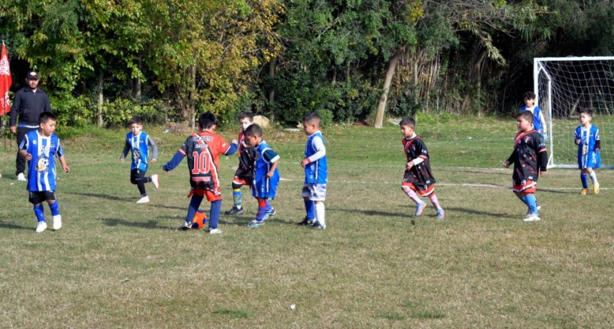 Tigre: Se puso en marcha la edición 2024 de la Liga de Baby Fútbol del Municipio