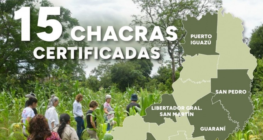 Misiones: La Provincia impulsa el futuro verde en la región con más de 650 hectáreas de chacras agroecológicas 