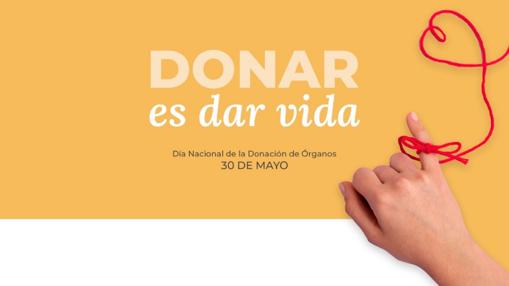 Misiones: La Provincia mantiene indicadores altos en donación de órganos y apunta a sumar nuevas tecnologías 