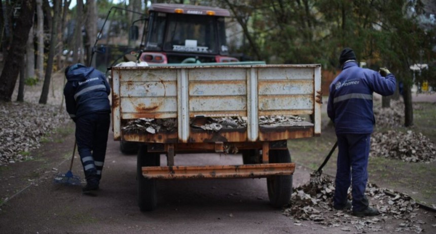 Pinamar: El Municipio realizó trabajos por el Día Mundial del Medio Ambiente