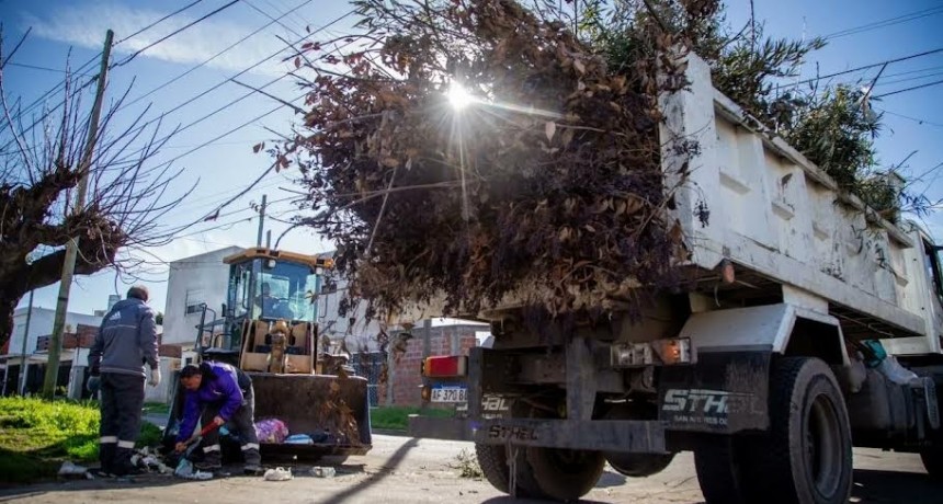 Quilmes: La Municipalidad continúa con los operativos de limpieza y levantamiento de ramas en el distrito
