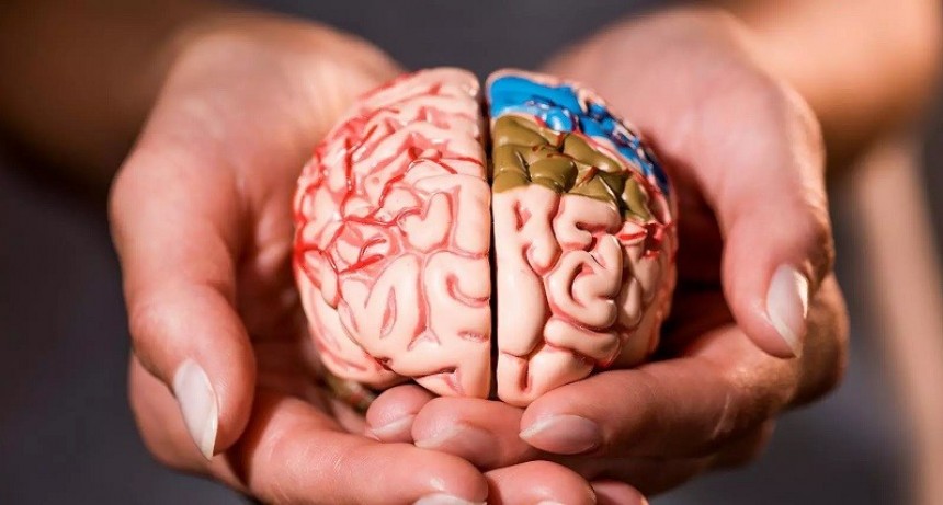 Día Mundial del Cerebro: Cuidados del cerebro y prevención del ACV