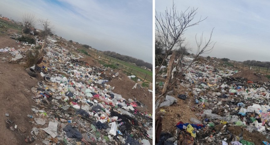Andrés Ferreyra: “Soy productor familiar de Cuartel V y en mi campo, el Municipio permitió que los carreros  armen el basural más grande a cielo abierto de Moreno”