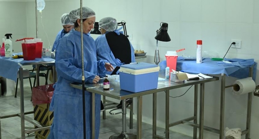 Luján: El Municipio duplicó la cantidad de castraciones mensuales 